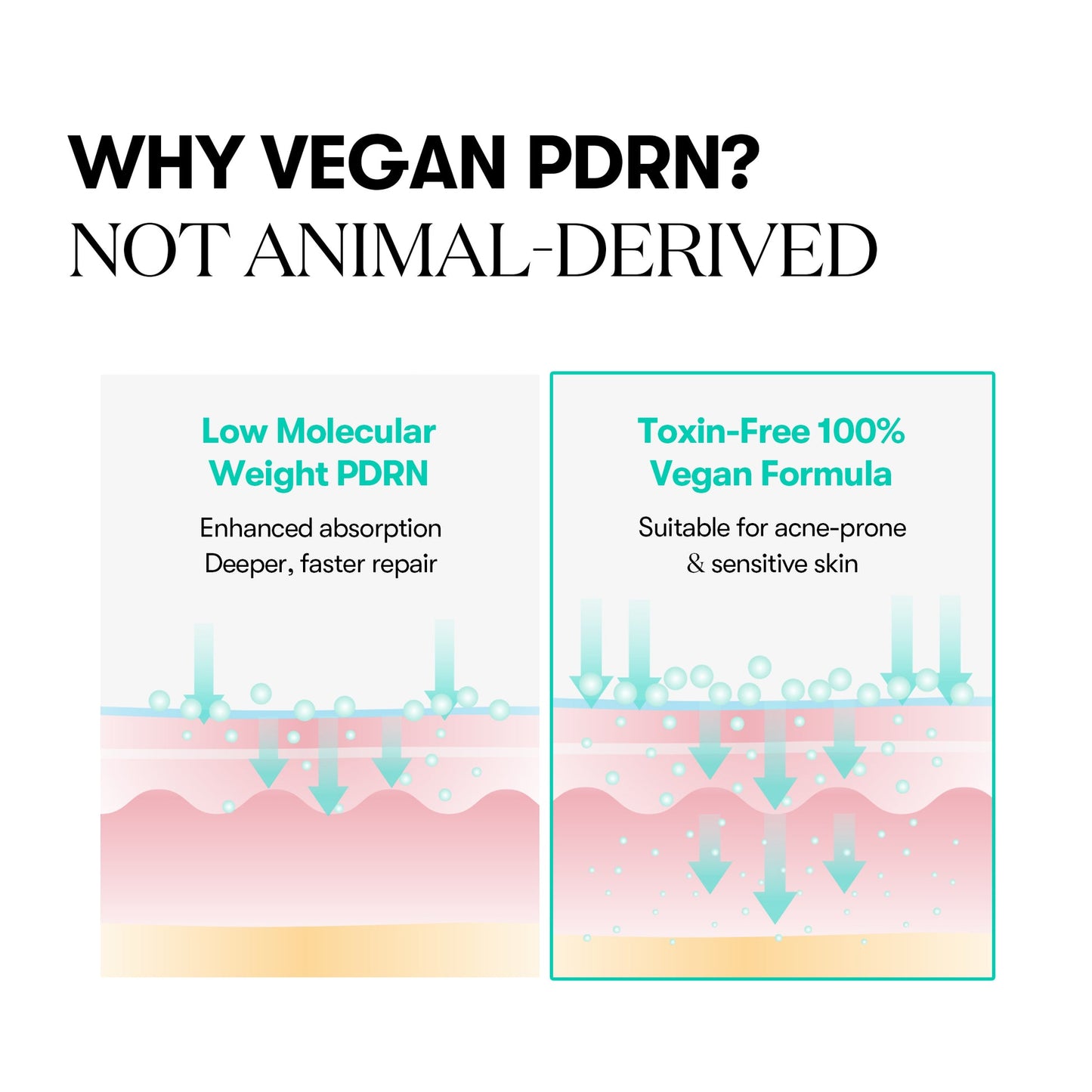 VT PDRN Capsule Cream