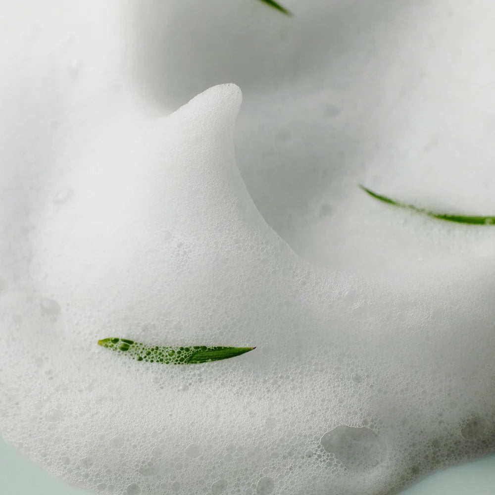 Some by mi AHA-BHA-PHA 30 DAYS MIRACLE ACNE CLEAR FOAM 100 ML